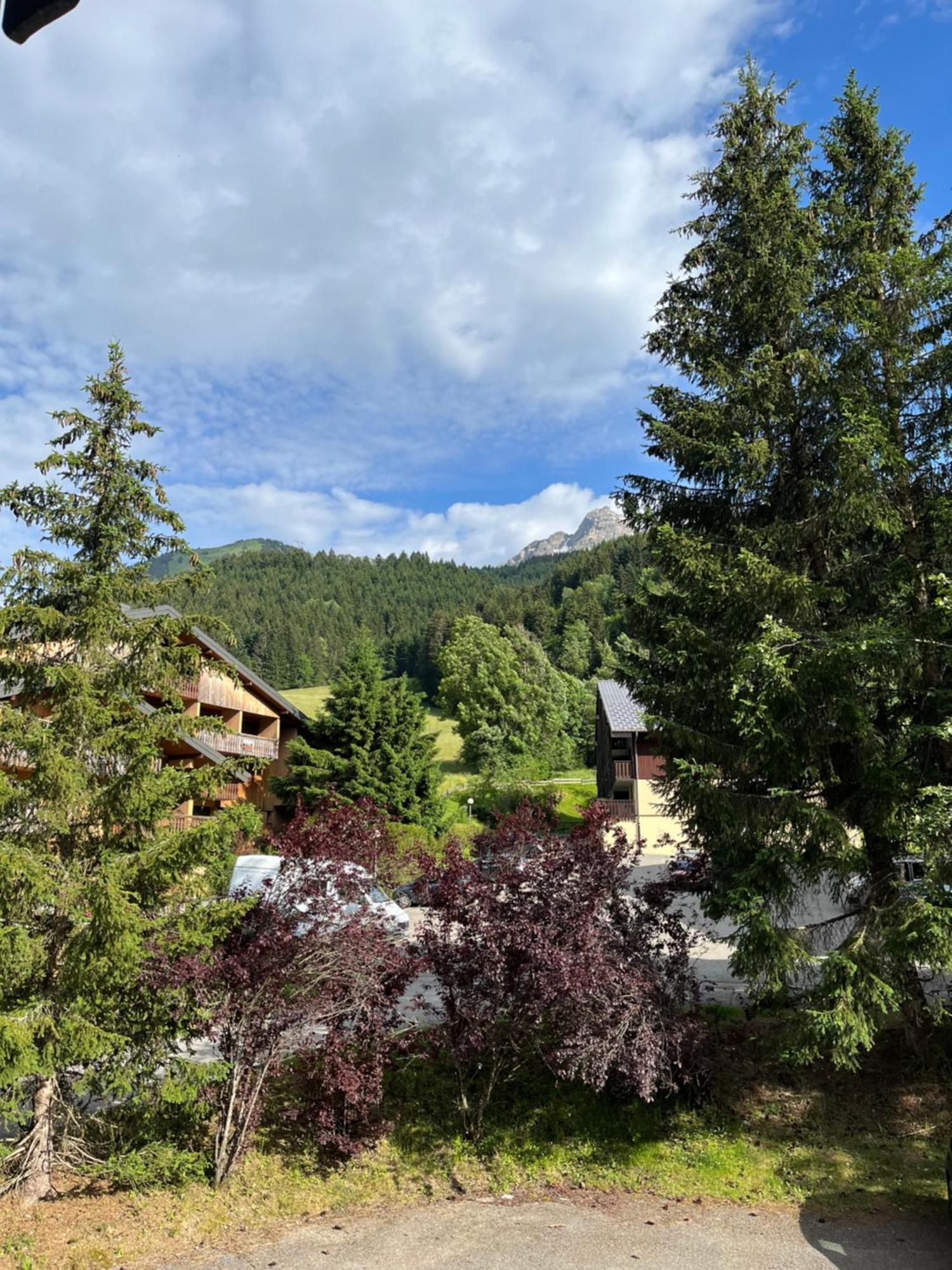 Cosy 2 Pieces Proche Chatel 阿邦当斯 外观 照片